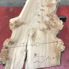 Burr Elm kiln dried plank #062
