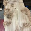 Burr Elm kiln dried plank #062