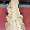 Burr Elm kiln dried plank #062