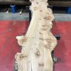 Burr Elm kiln dried plank #060