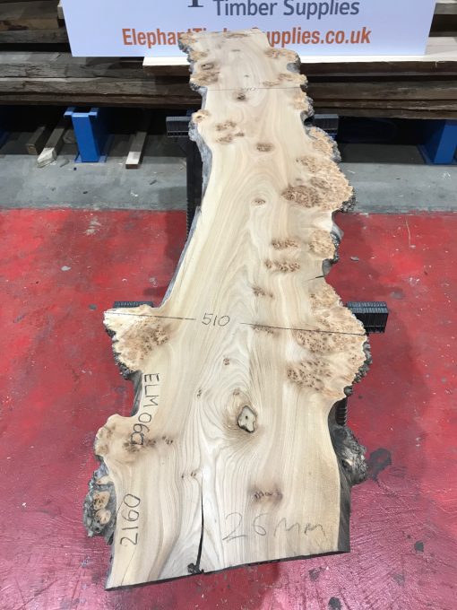 Burr Elm kiln dried plank #060