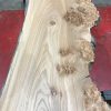 Burr Elm kiln dried plank #060
