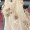 Burr Elm kiln dried plank #060