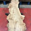 Burr Elm kiln dried plank #060