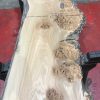Burr Elm kiln dried plank #064