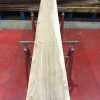 Olive Ash kiln dried planks #030