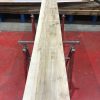 Olive Ash kiln dried planks #030