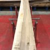 Olive Ash kiln dried planks #018