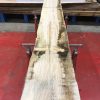 Olive Ash kiln dried planks #019