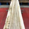Olive Ash kiln dried planks #031