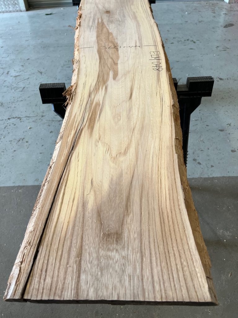 Sappy Elm #048 ⁄ Elephant Timber Supplies