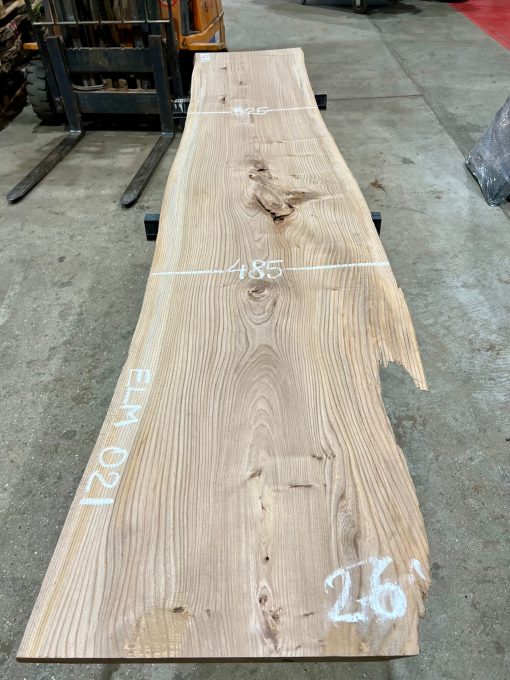 Elm #021 kiln dried timber plank