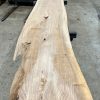 Elm #021 kiln dried timber plank