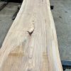 Elm #021 kiln dried timber plank