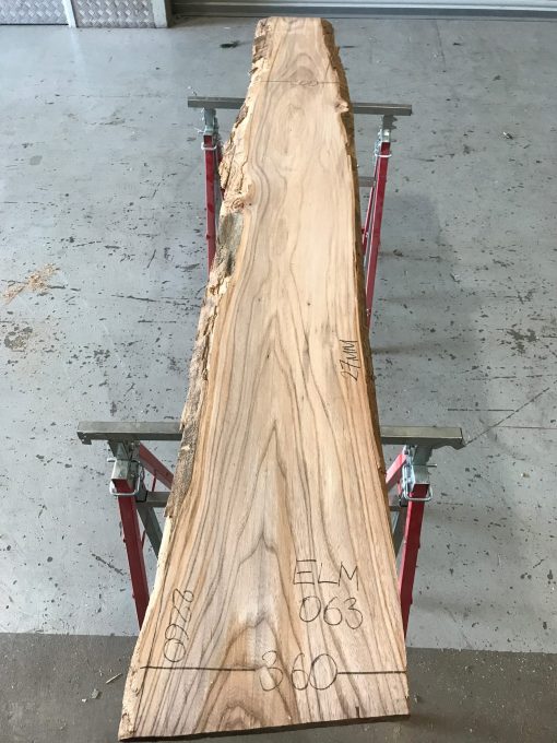 Sappy Elm #063