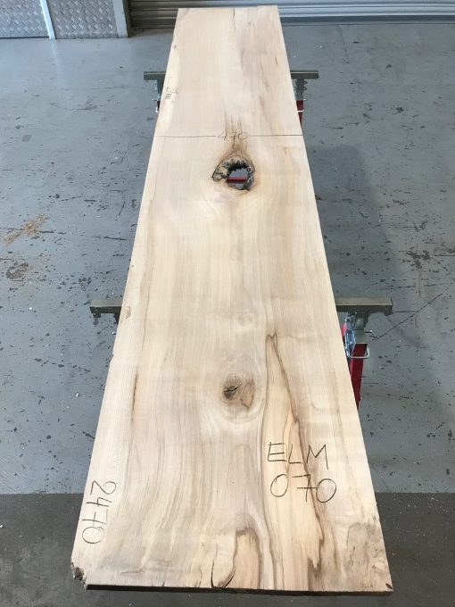 Sappy Elm #070