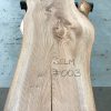 Sappy Elm #003 kiln dried timber