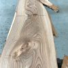 Sappy Elm #003 kiln dried timber