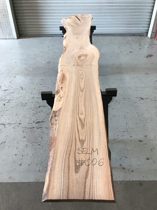 Sappy Elm #006 kiln dried and thicknessed