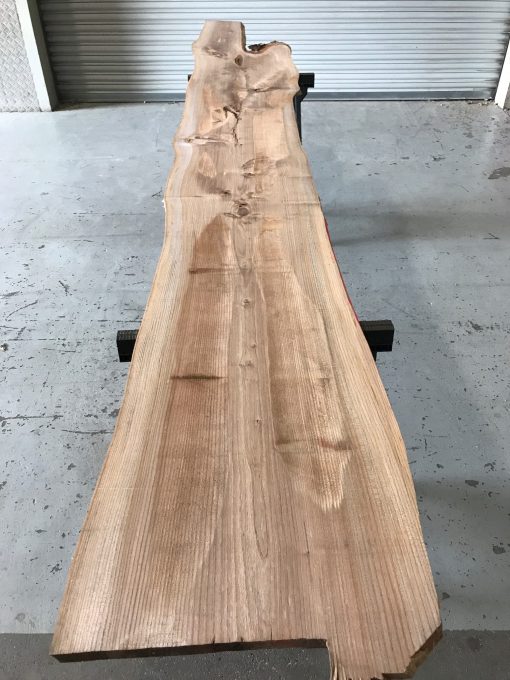 Sappy Elm #010 kiln dried and thicknessed