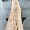 Sappy Elm #019 kiln dried and thicknessed
