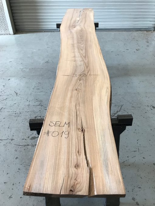 Sappy Elm #019 kiln dried and thicknessed