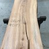 Sappy Elm #019 kiln dried and thicknessed