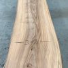 Sappy Elm #019 kiln dried and thicknessed