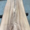Sappy Elm #019 kiln dried and thicknessed