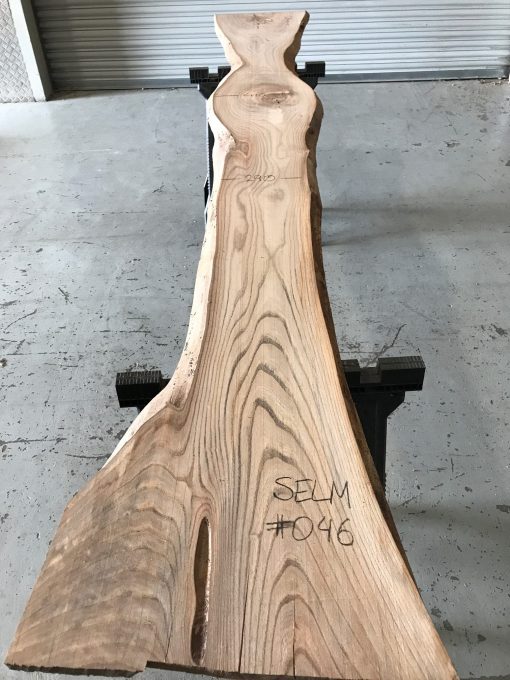 Elm #046 kiln dried and thicknessed