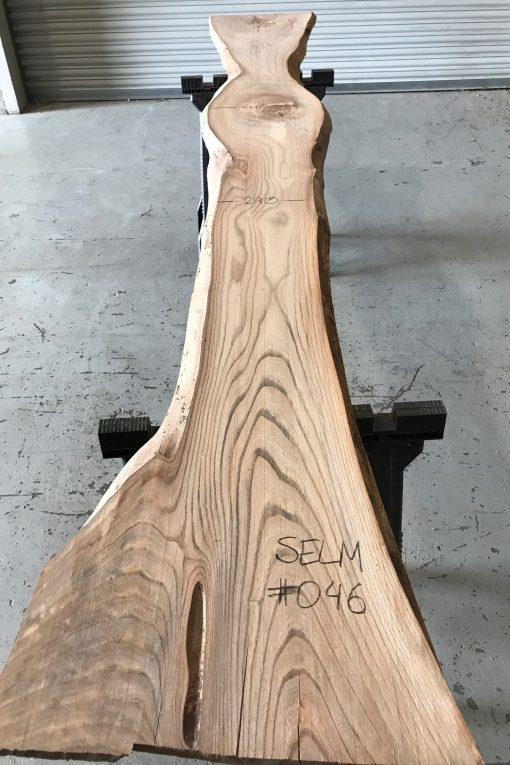 Elm #046 kiln dried and thicknessed
