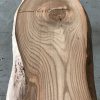 Elm #046 kiln dried and thicknessed