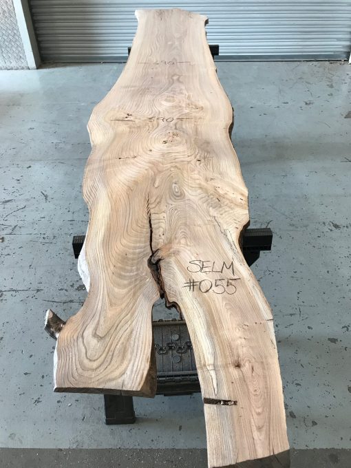 Elm #055 kiln dried and thicknessed