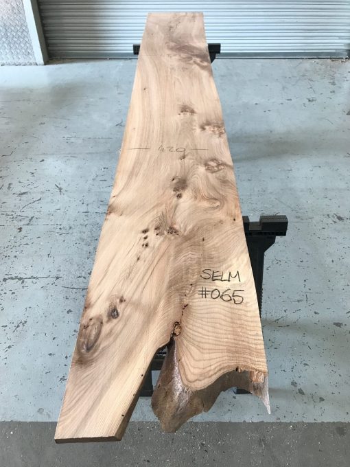 Elm #065 kiln dried and thicknessed