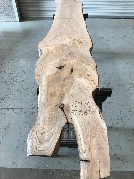 Elm #068 kiln dried and thicknessed