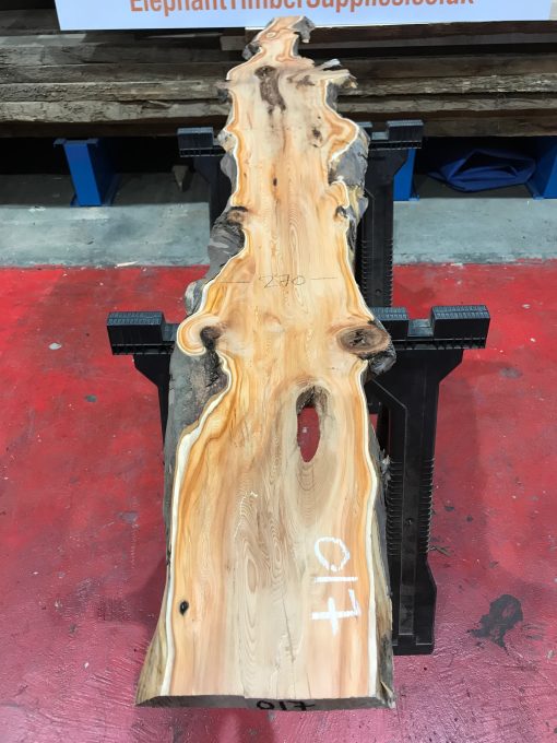 Yew kiln dried timber plank #017