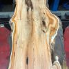 Yew kiln dried timber plank #017