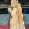 Yew kiln dried timber plank #018