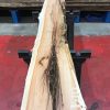 Yew kiln dried timber plank #019
