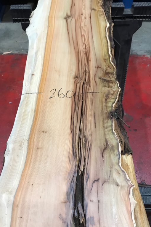Yew kiln dried timber plank #019