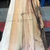 Yew kiln dried timber plank #019