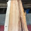 Yew kiln dried timber plank #019