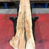 Yew kiln dried timber plank #047