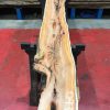 Yew kiln dried timber plank #049