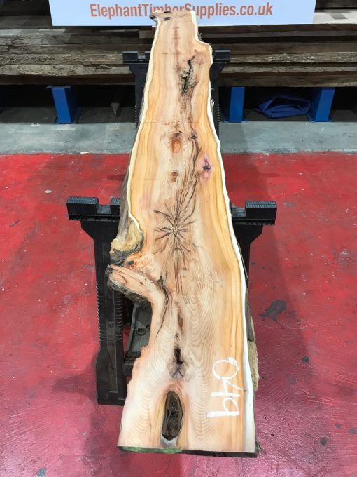 Yew kiln dried timber plank #049