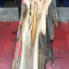 Yew kiln dried timber plank #050