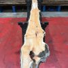 Kiln dried Yew #052