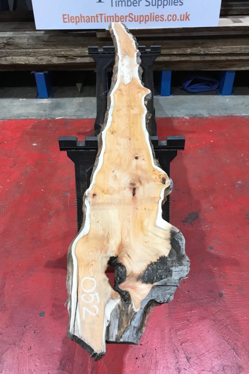 Kiln dried Yew #052