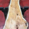 Kiln dried Yew #052