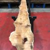 Kiln dried Yew #052